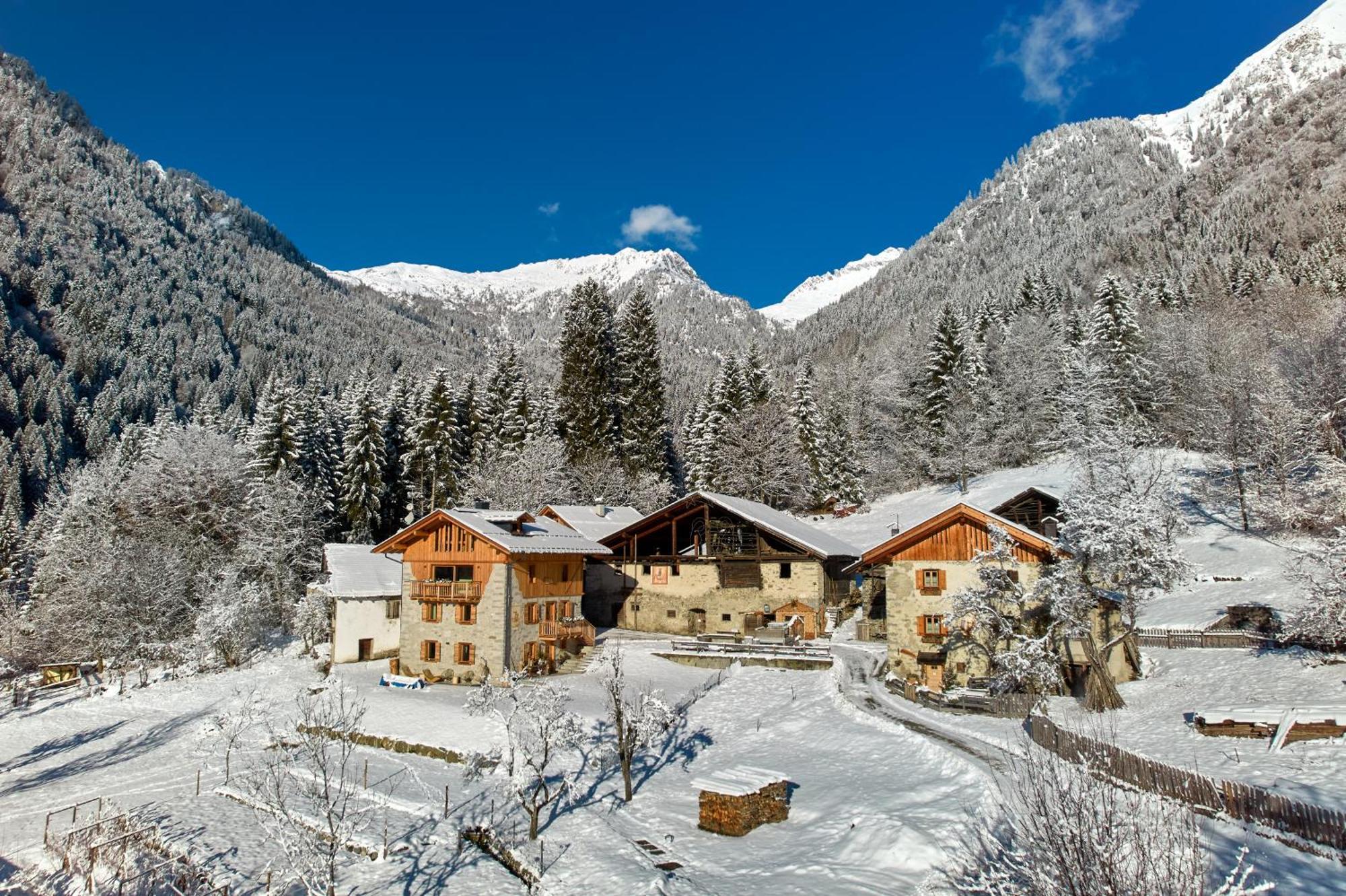 Pimont Alpine Chalet Мадонна-ді-Кампільйо Екстер'єр фото